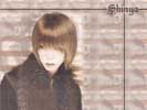 Shinya10