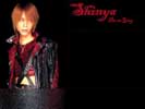 Shinya32