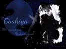 Toshiya46